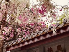 -深圳国际园林花卉博览园