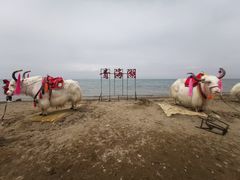 -青海湖国家重点风景名胜区