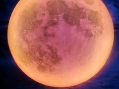 -天津梵高星空艺术馆(天河城旗舰店)