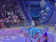-海合安武汉极地海洋公园