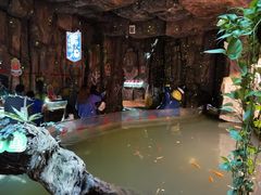 -正佳雨林生态植物园