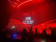 -赤红音乐现场(浦东金桥路店)