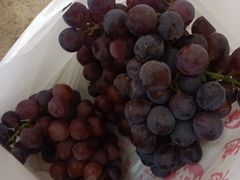 -麦园农庄·西江河鲜