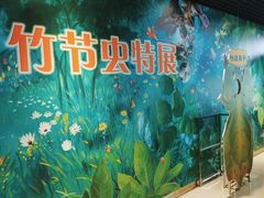 -上海昆虫博物馆