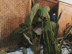 -七采菌园·野生菌石锅鱼(环城北路店)