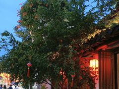 -鲤院·新中式美学·庭院餐厅(夫子庙店)