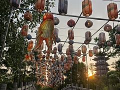-洋湖国家湿地公园