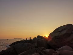 -广东惠东海龟国家级自然保护区