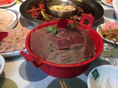 -渝厨生态火锅(合川区府店)