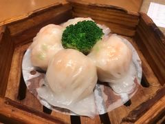-粤食堂(天津和悦汇店)