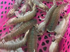 -清水湾3号(东方小周海鲜店)