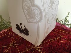 -BLACKSWAN黑天鹅(环球店)