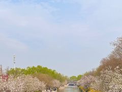 -元大都城垣遗址公园