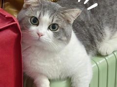 -爱妮康宠物医院·干细胞免疫细胞·肿瘤·心脏(张江店)