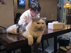 -Mr.Fox狐狸先生超级密室(南山店)