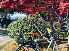 -江南大学(蠡湖校区)