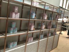 -奈雪的茶(石家庄万象城店)
