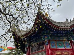 -西安市广仁寺