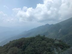 -牛背梁国家森林公园