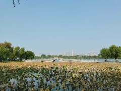 -济南大明湖景区