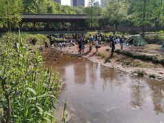 -重庆彩云湖湿地公园