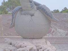 -广东惠东海龟国家级自然保护区