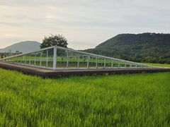 -风云岭森林公园