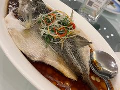 堂灼桂花鱼-和平官邸·花园餐厅(武定西路店)