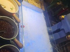 -富力万达文华酒店·海鲜自助