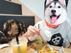 -瞄一喵猫咖(格力海岸店)