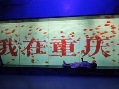 -重庆欢乐海底世界