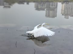 -木塔寺遗址生态公园