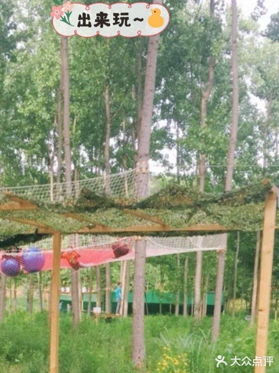 暑假来临啦!这次准备带着宝宝体验不一样的儿童乐园!
