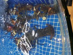 -海鲜城大家餐厅