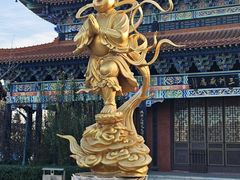 -大悲禅寺