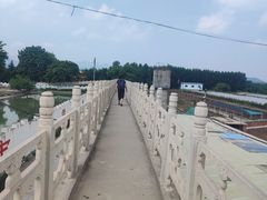 -东方巨龟苑景区