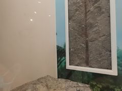 -辽宁古生物博物馆