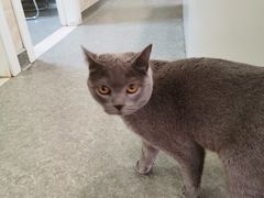 -安安宠医·安宠宠物医院