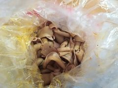 -黄毛鸭脖(汉阳总店)