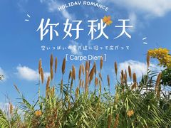-良渚古城遗址公园