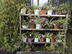 -福照楼汽锅鸡·云南特色菜(万达广场店)