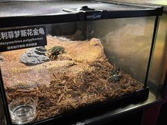 -太平洋海底世界