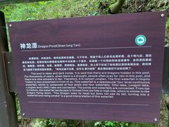 -牛背梁国家森林公园