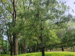 -火器营(地铁站)