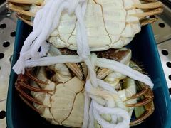 -黄记大闸蟹专卖店·活蟹·醉蟹