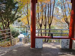 -黄村公园