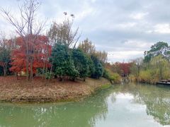 -梁鸿国家湿地公园