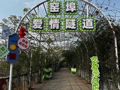 -窑埠古镇