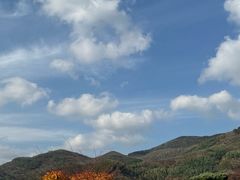 -四明山国家森林公园