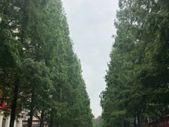 -古真记钵钵鸡(总店)